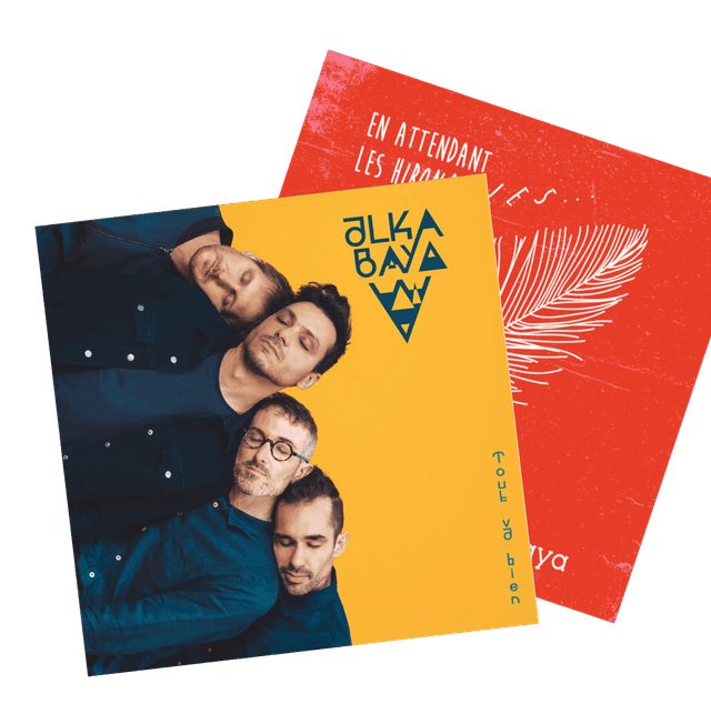 lot 2 albums